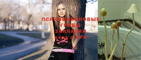 МДПВ Нефтекумск