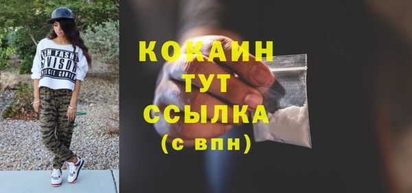 прущий лед Нея
