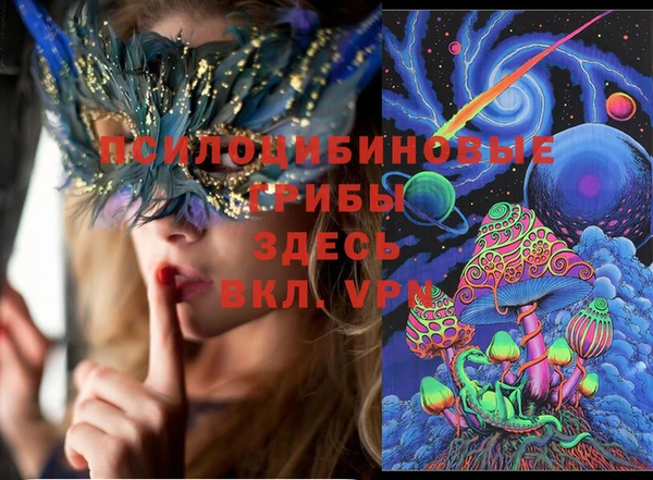 прущий лед Нея