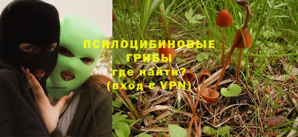 прущий лед Нея