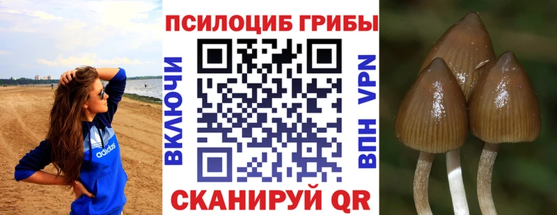 Галлюциногенные грибы Psilocybe Иркутск