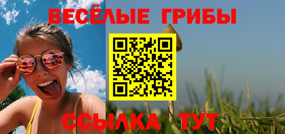 Галлюциногенные грибы MAGIC MUSHROOMS  Вход с VPN  Иркутск 